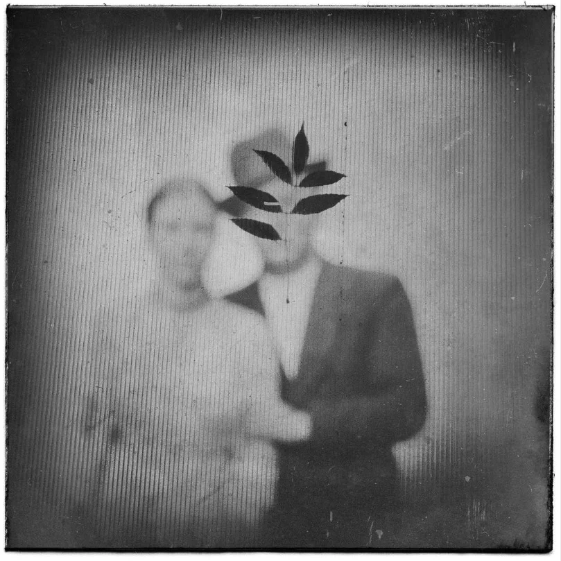 picture by Koci Hernandez