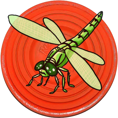 Dragonfly Open