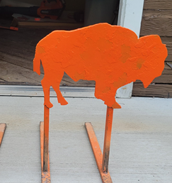 Buffalo and Rim-fire shoot
