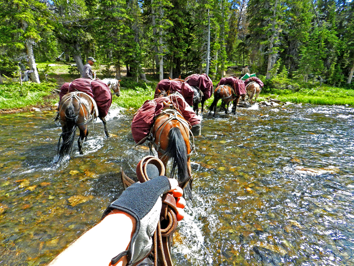 Outfitter / guide services photography