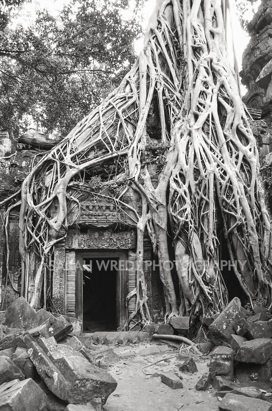 Angkor Wat, Siem Reap, Cambodia (35mm B+W Film)