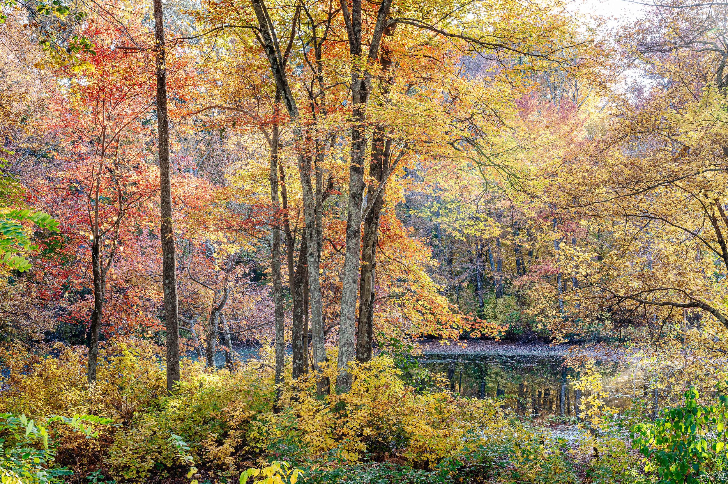 Deer Park Pond in October