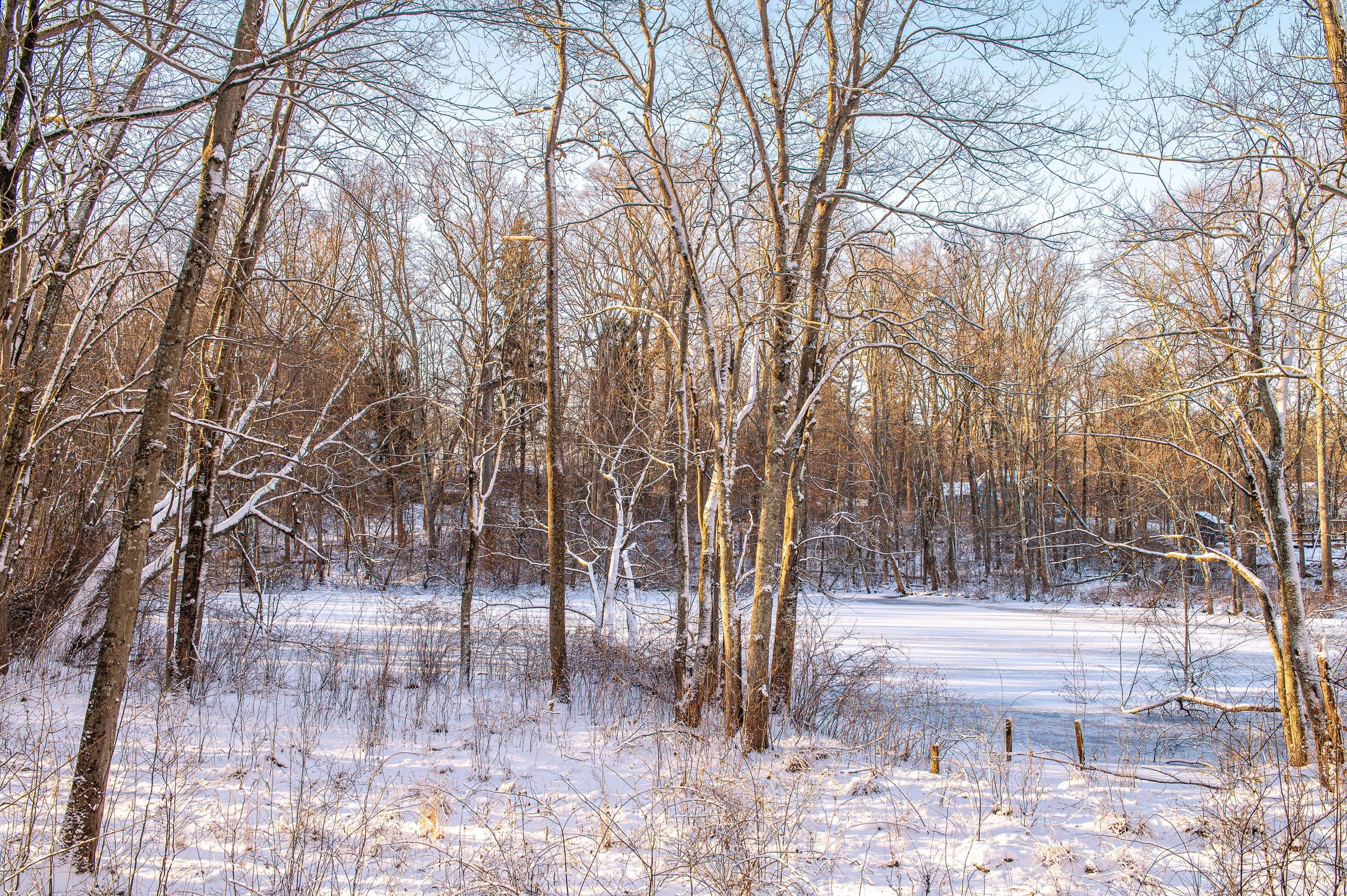 Winter Morning Light on Deer Park Pond