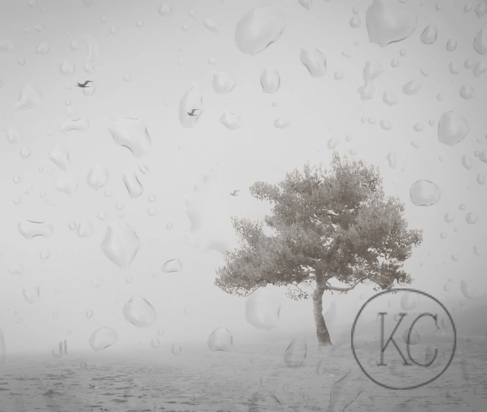 Tree_Raindrops.jpg