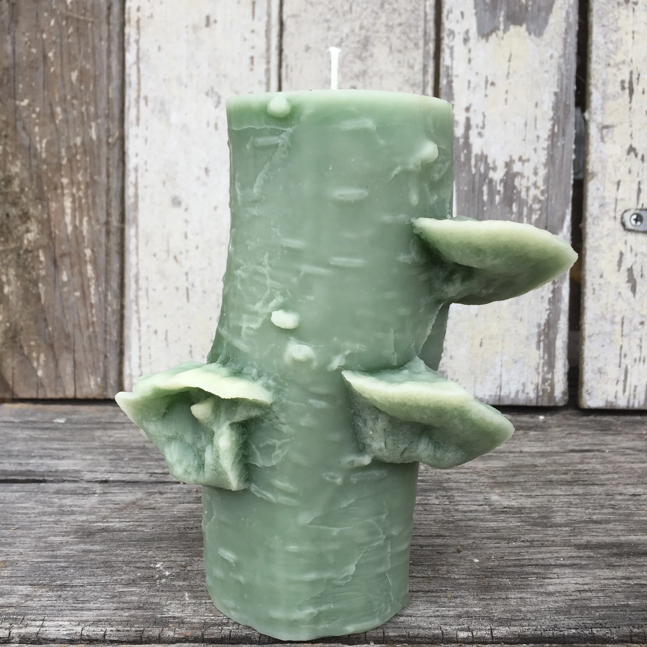 72 Hr Birch Pillar — Stick Candles