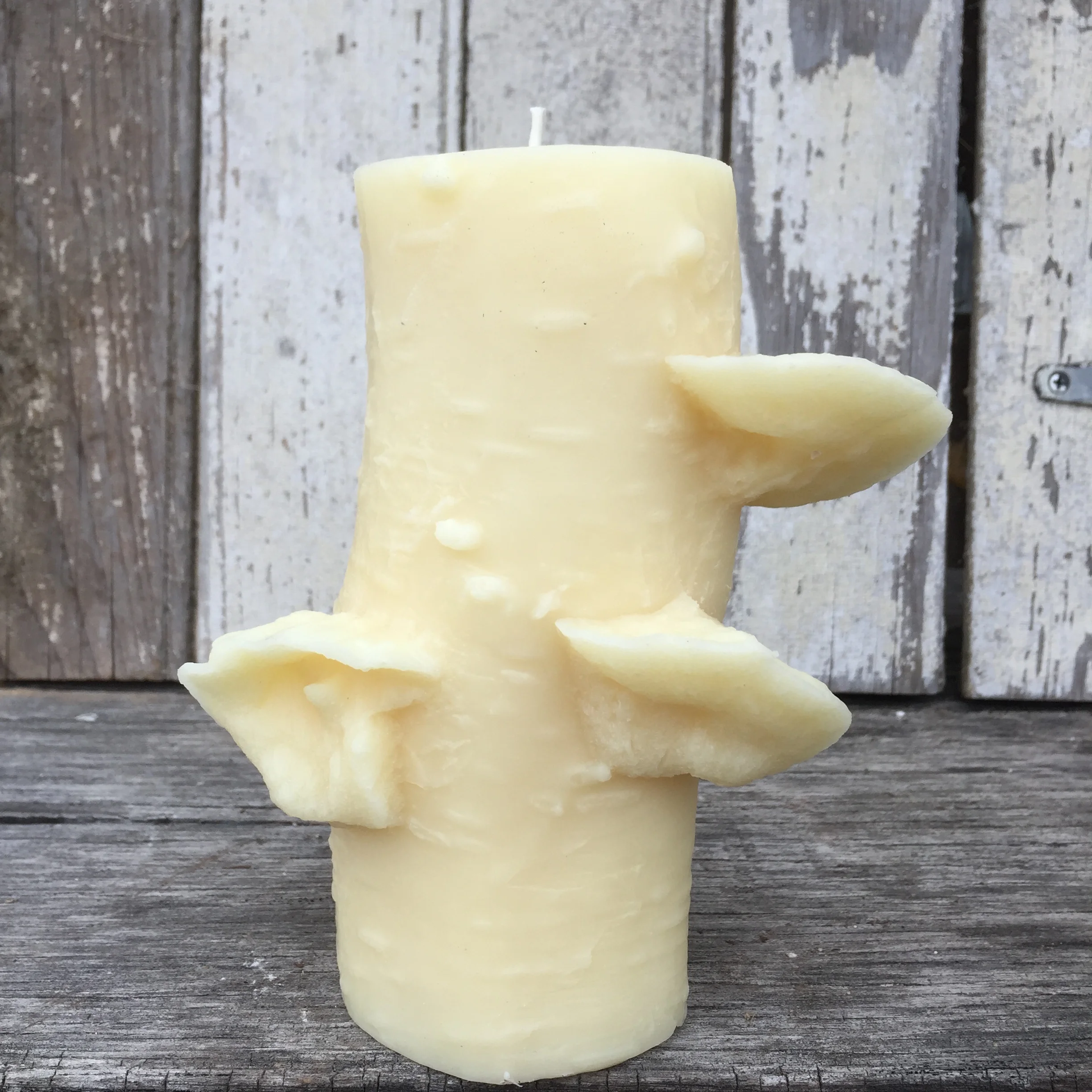 72 Hr Birch Pillar — Stick Candles