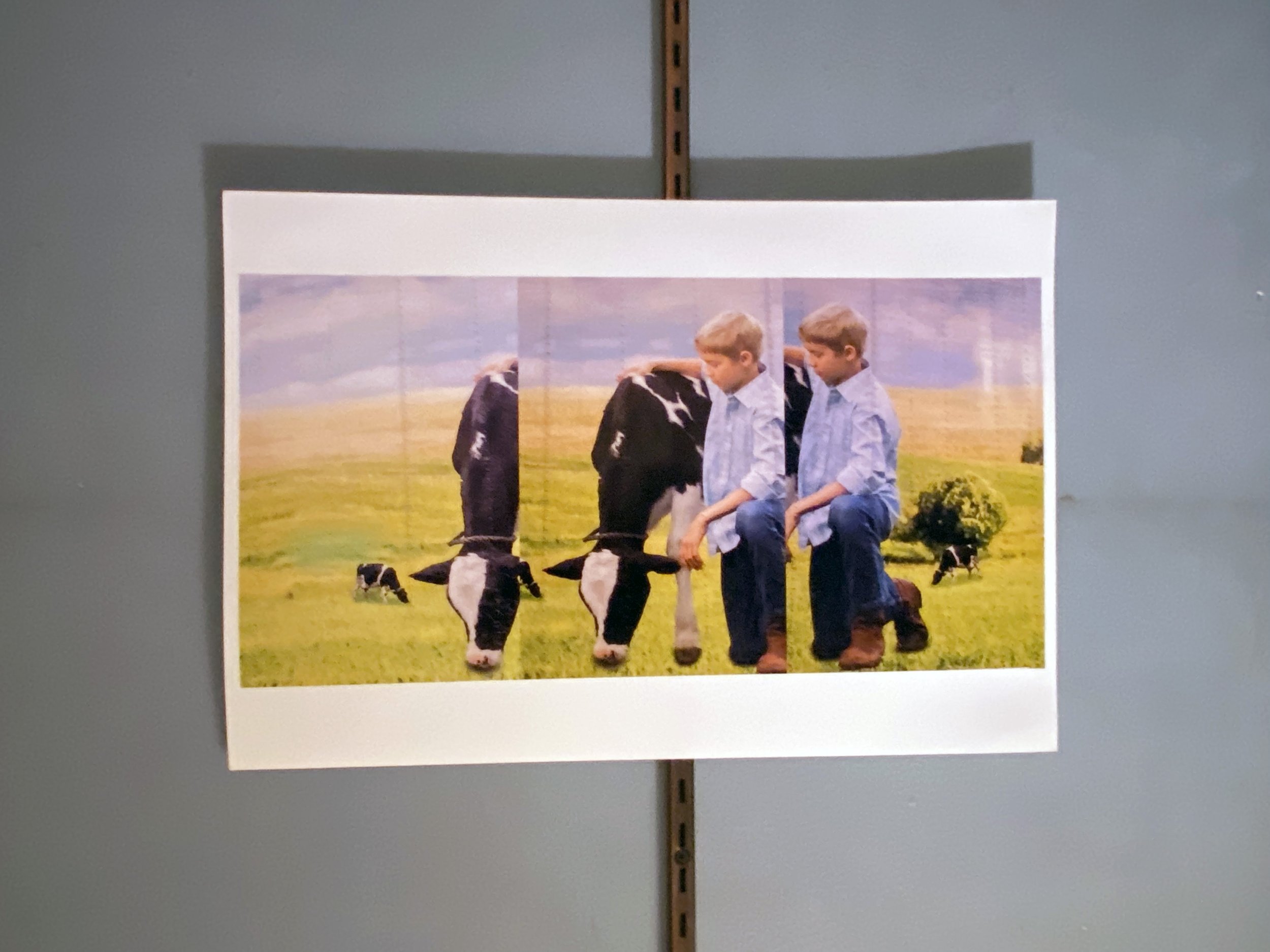 20_MTFCit_Untitled (Cow, Ear and Boy XKWN)_220121.jpg