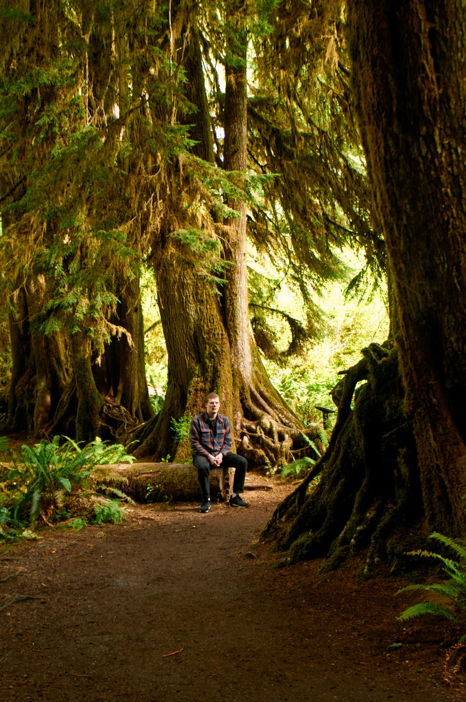 _DSC9658++.jpg