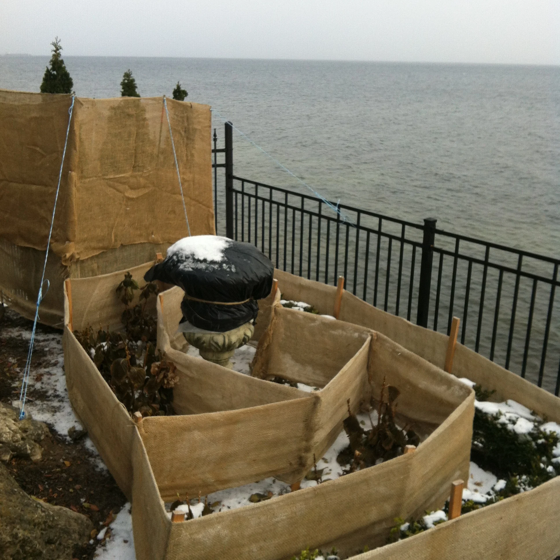 All bundled up and ready for the snow to fly...