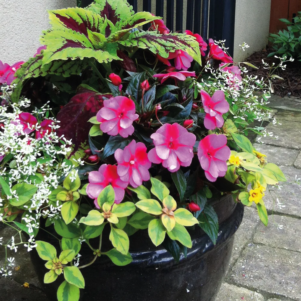 Summer-planters-4.jpg