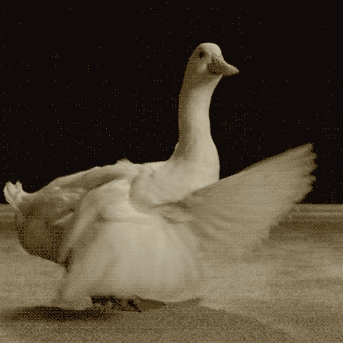 Ever see an act so mind-blowing, the rest of your body just kinda... wings it? Asking for a friend...