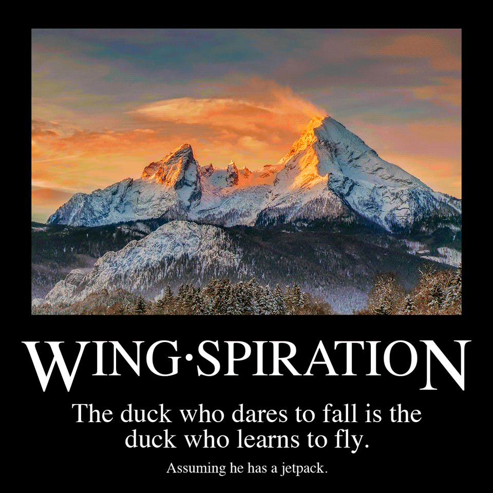 Remember, there is no satisfaction without struggle.