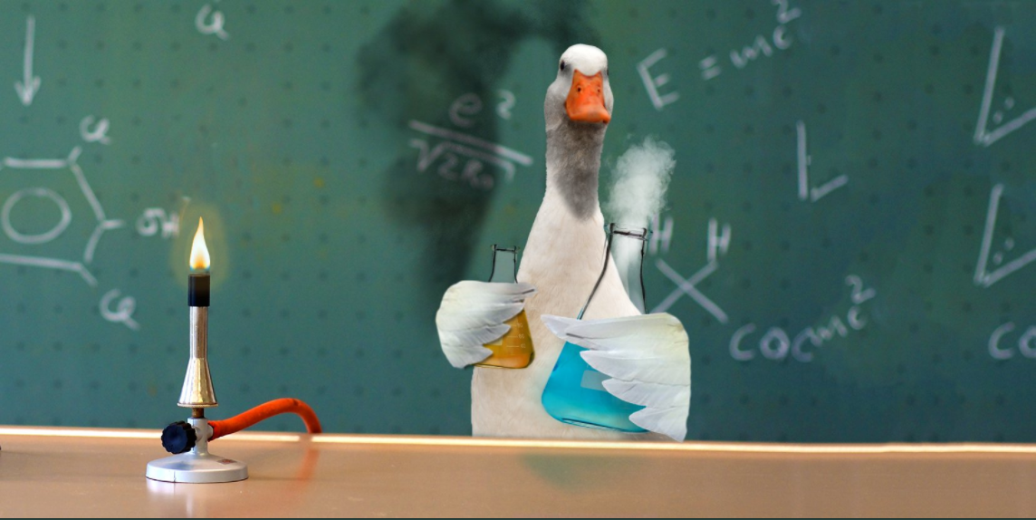   It’s days like Bunsen Burner Day when I really wish I had a lab. Preferably chocolate. And house-trained. #DucksHavePetsToo  