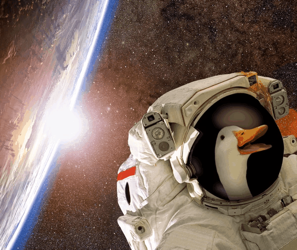That’s one small step for man… one giant flurry of significantly smaller waddles so birdkind can catch up. #tiredasDUCK #MoonLandingAnniversary