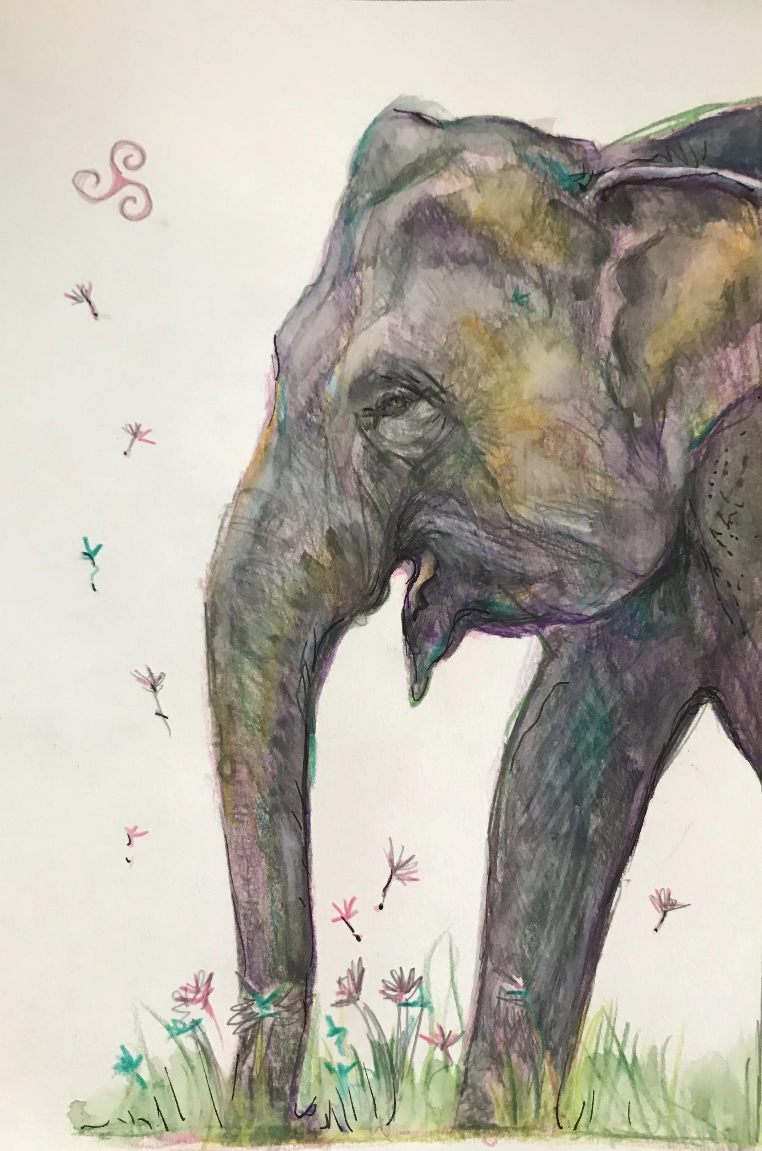 vj_elephant.jpg