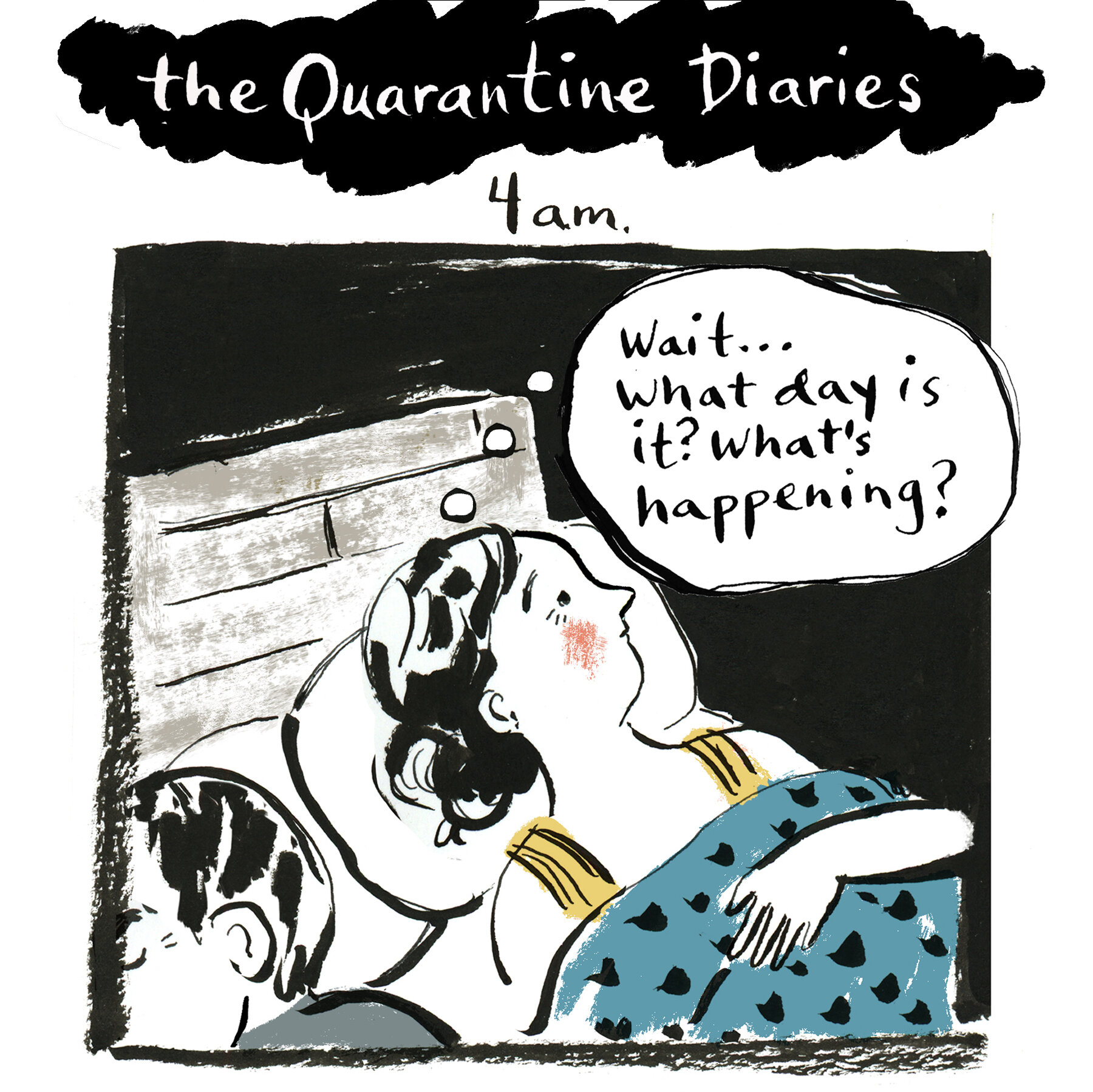 Quarantine Diaries, Spring 2020