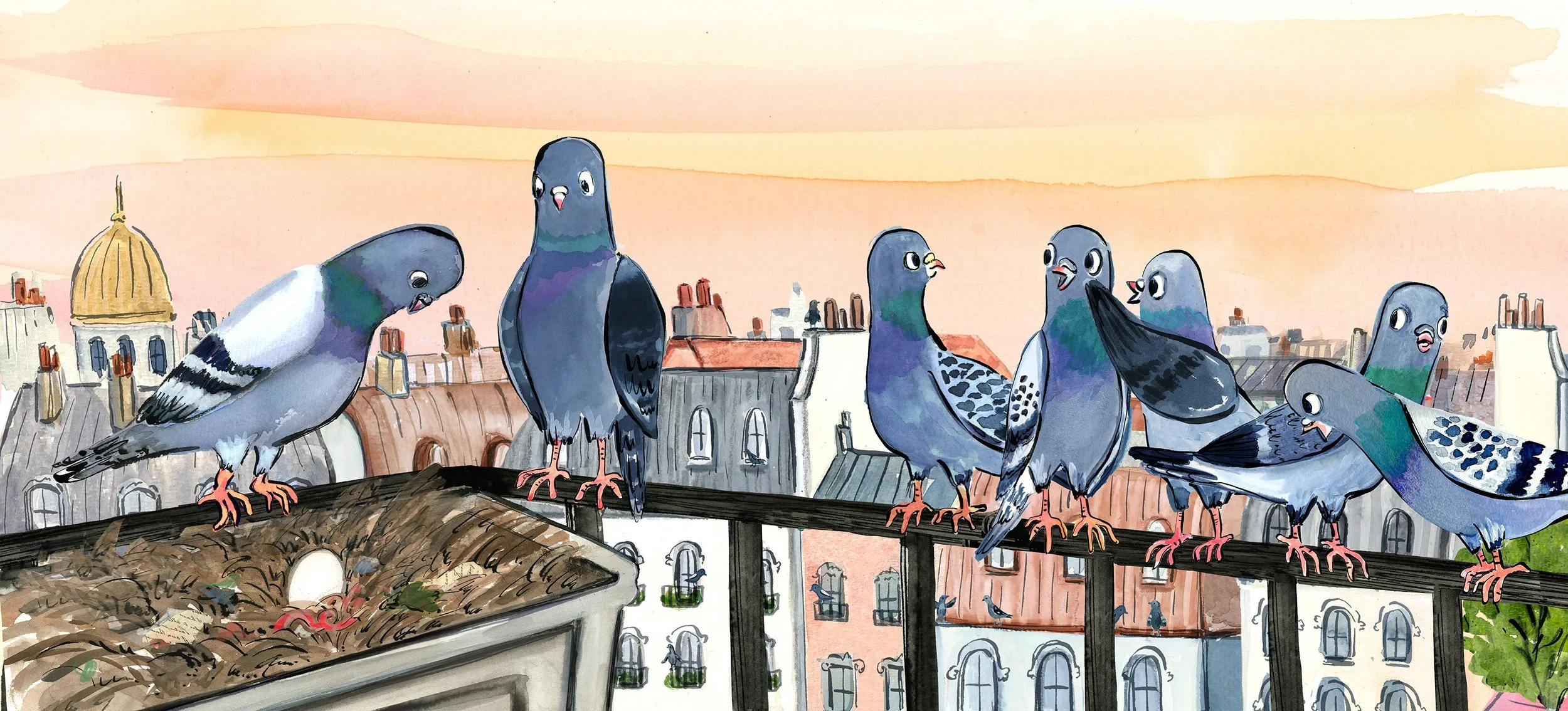 SEVEN, A Most Remarkable Pigeon
