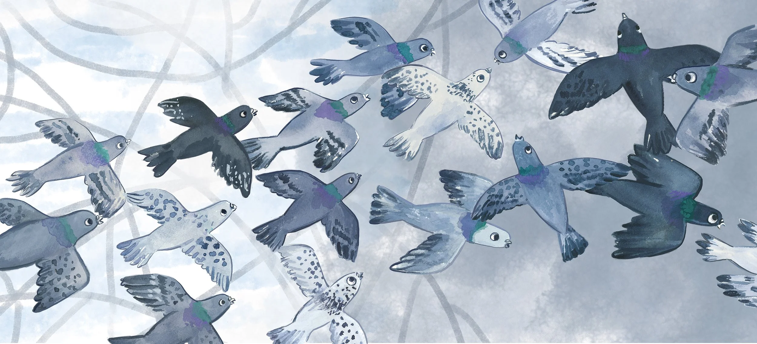 SEVEN, A Most Remarkable Pigeon