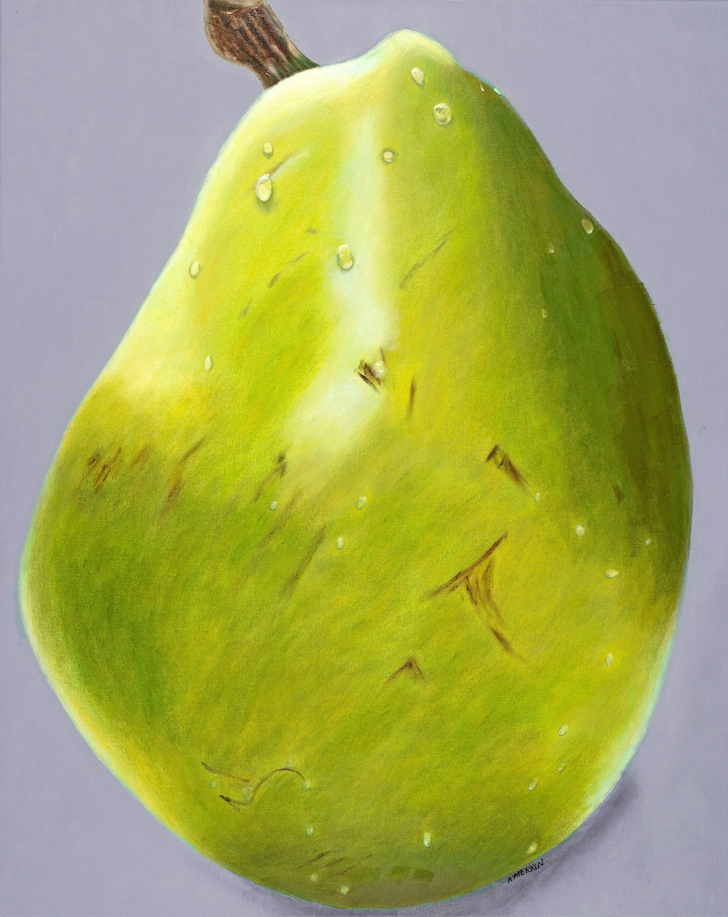 Large Anjou Pear