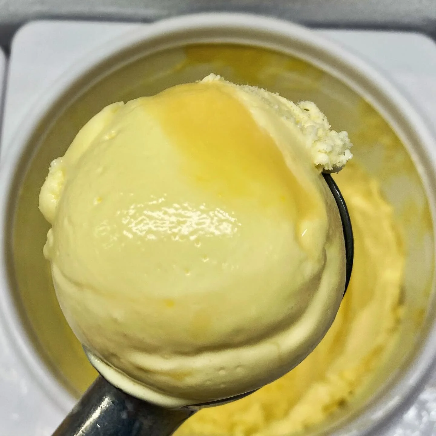 Meyer Lemon! A seasonal favorite. Includes fresh squeezed lemon juice blended into a buttermilk custard base with a buttery lemon curd swirl. 

#houstonfood #houstontx #houston #houstonfoodie #houstonfoodies #houstonfoodblogger #houstonicecream #froz