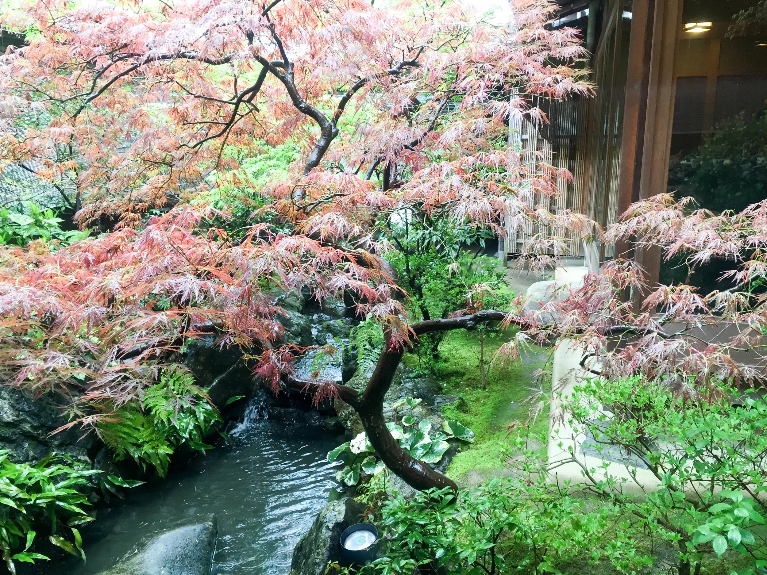 Japan- Hyotei- ✪✪✪