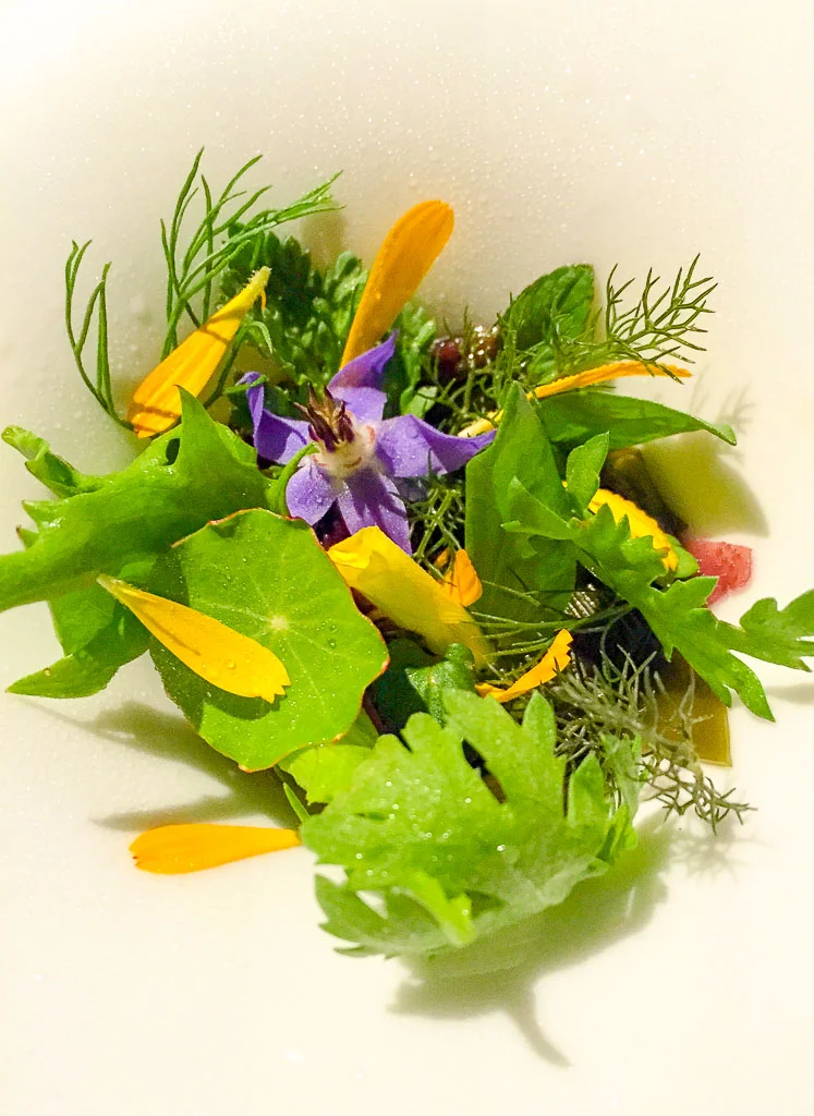 USA- Saison- Two Stars