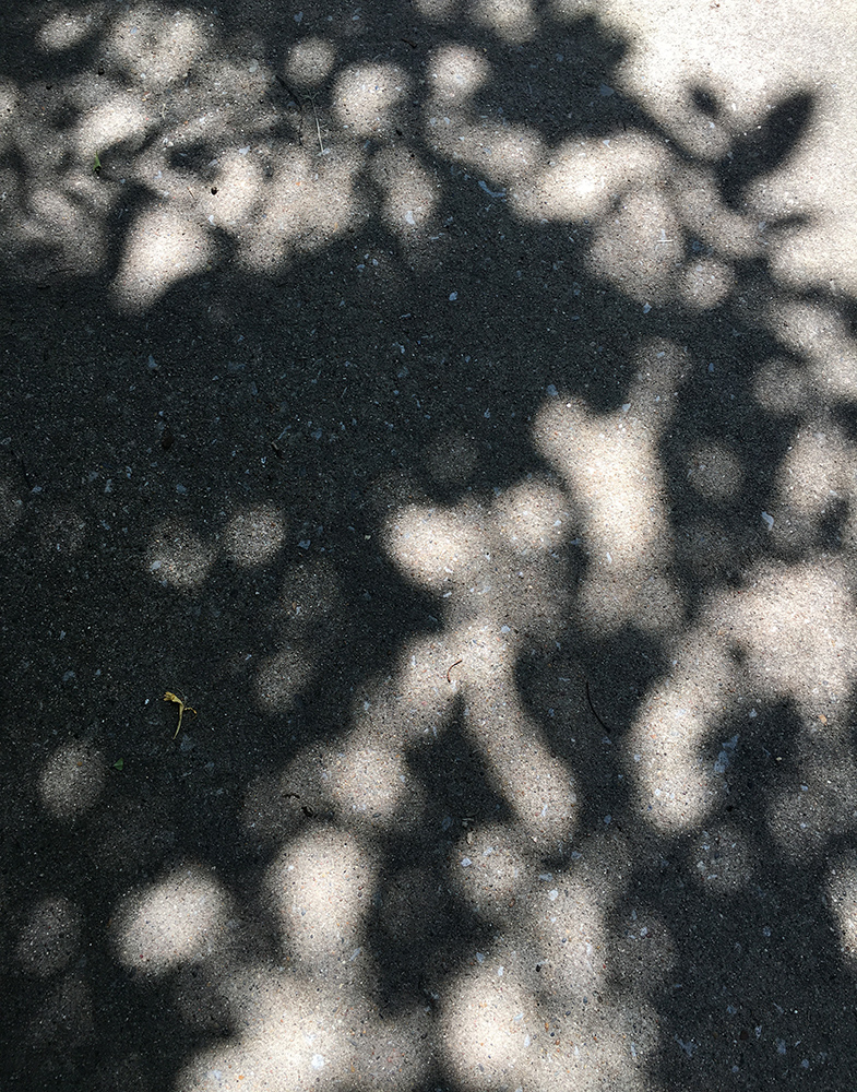 sidewalk-shadows2.jpg