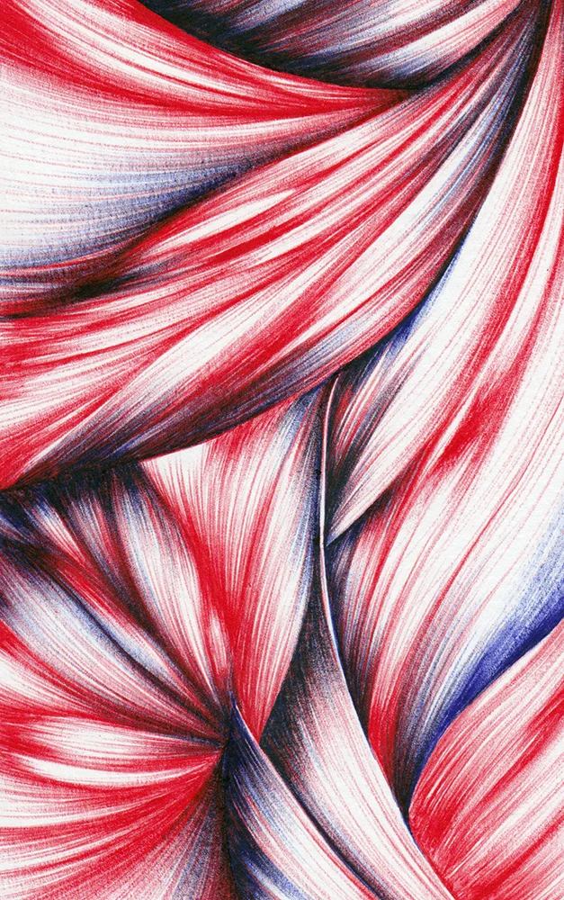 A detail section of my still untitled ballpoint pen drawing.