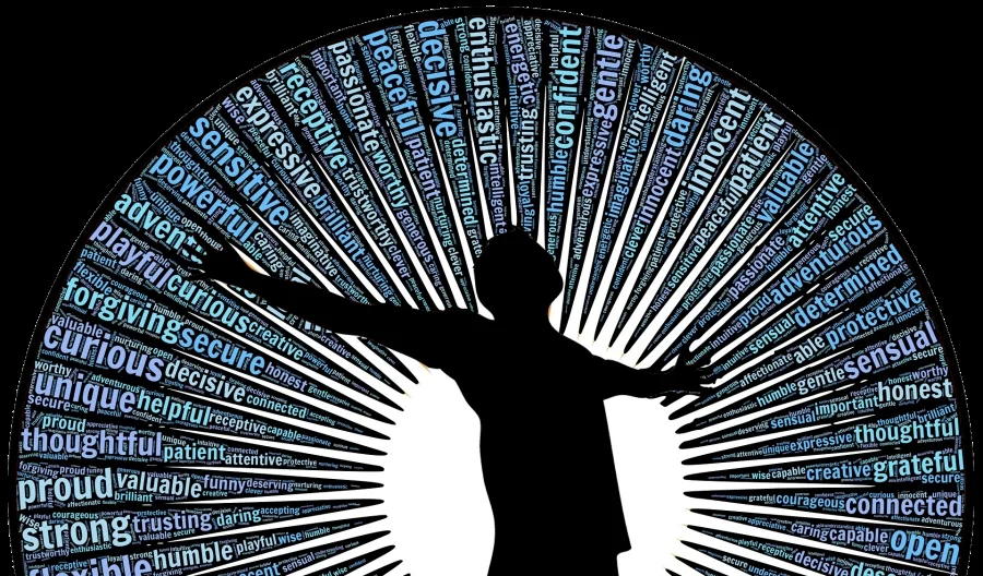 LowResman-1207687_1920 (2).png