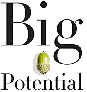big potential cropped.jpg