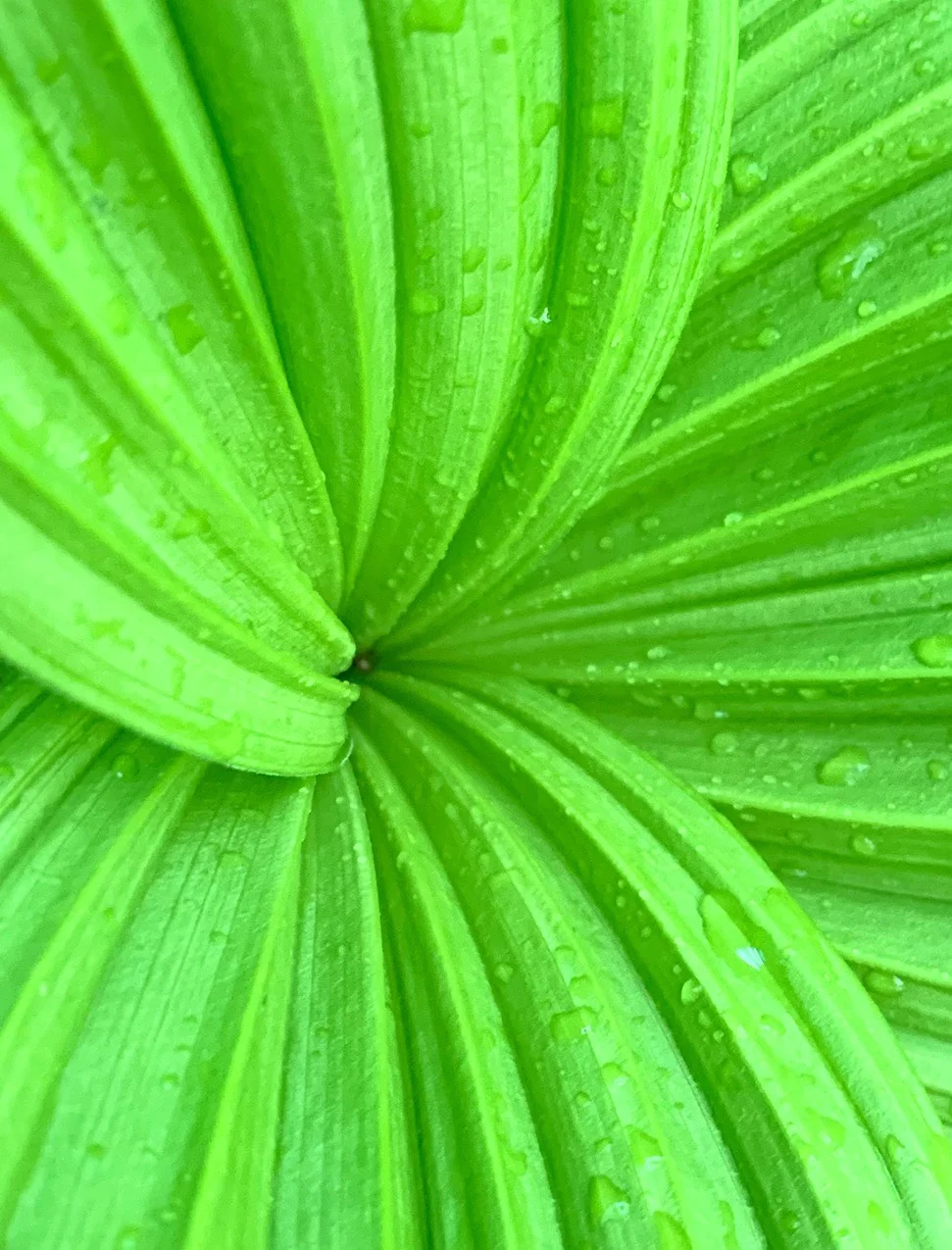 Spring, Rebirth and Other Nonsensical Stories