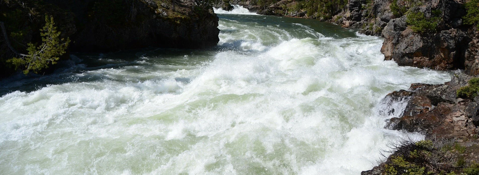 Near Death, Fearless Living