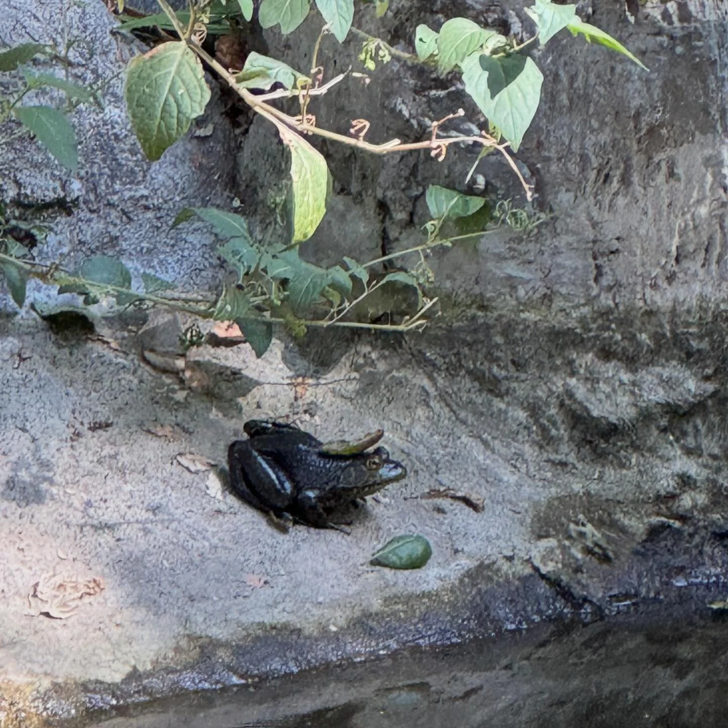 ⚡️September 2024⚡️