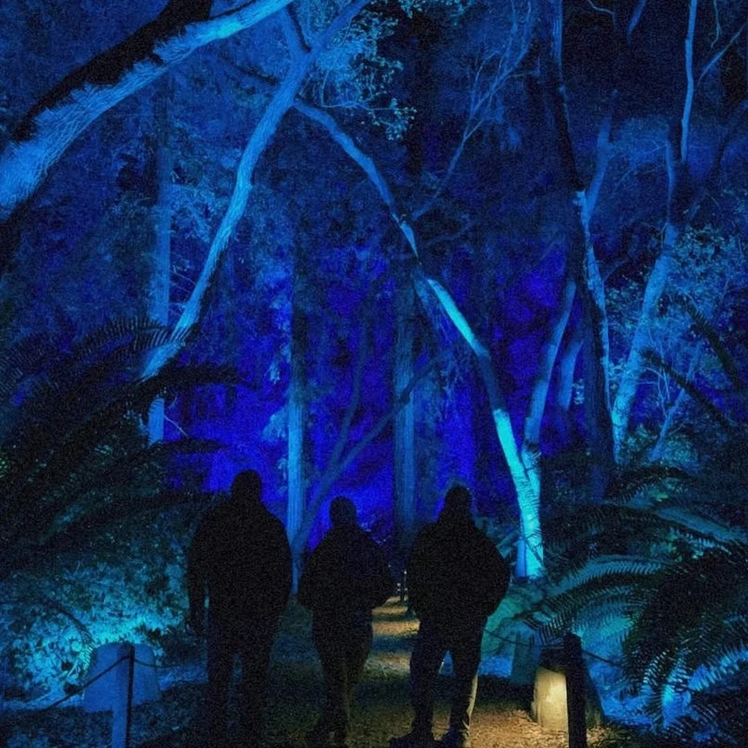 november 2024. what a blur.