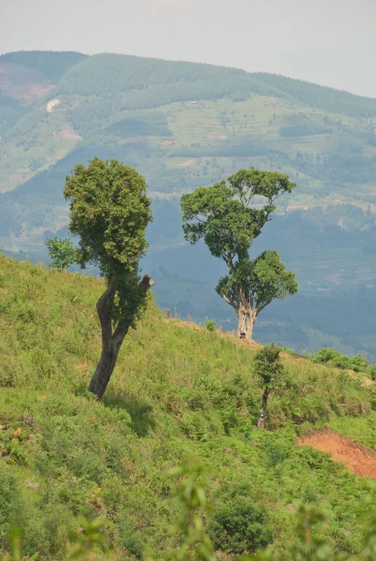 Scene near the Village