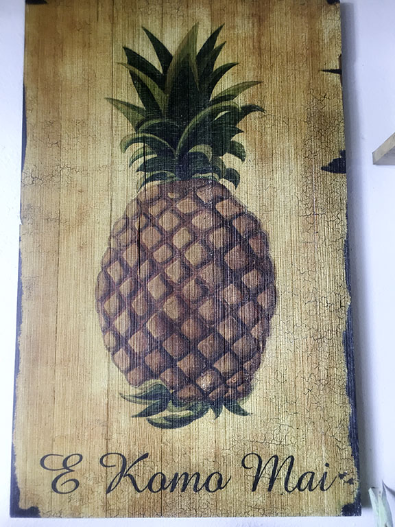 Hawaiian greeting at Wow Wow Lemonade.