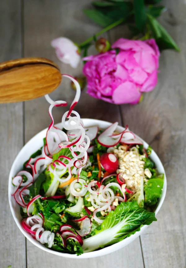 Springy Radish Salad with Lime Dressing — Beautiful Ingredient Plant