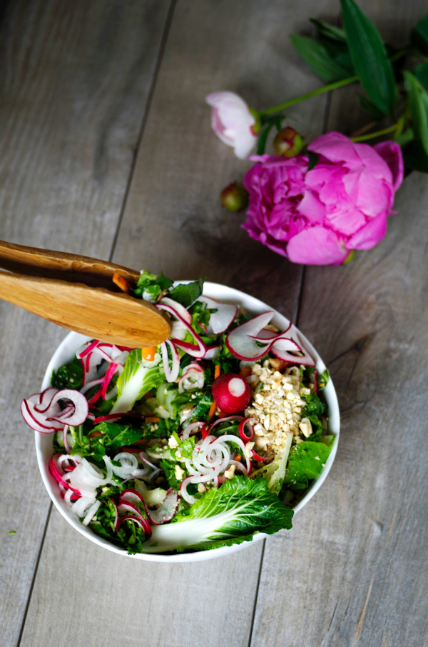 Beautiful Springy Radish Salad with Lime Dressing for springtime.