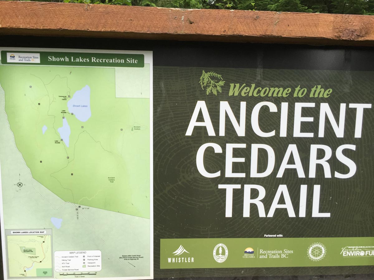 ancient-cedars-trail.jpg