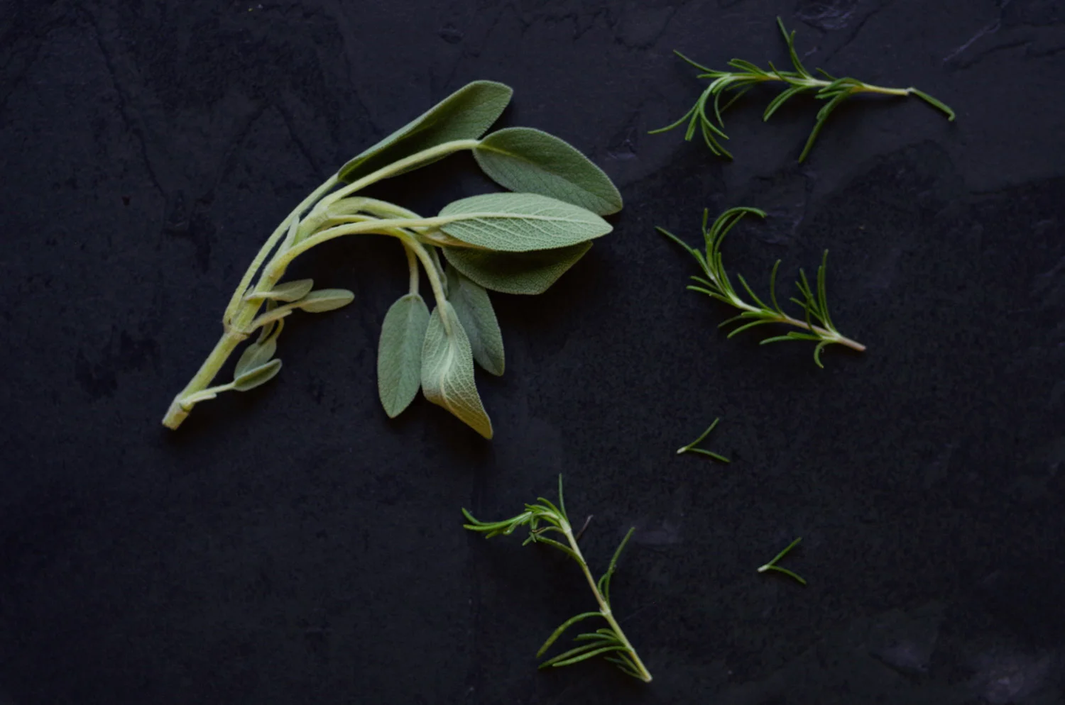 Sage and rosemary, flavor powerhouses that save the day at Thanksgiving.