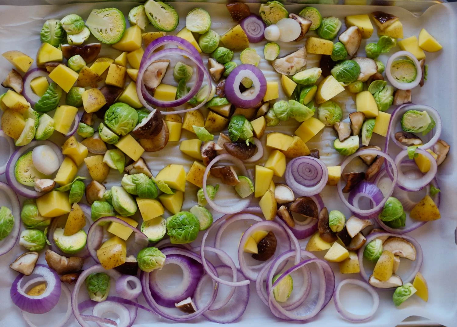 Vegetables ready for roasting.