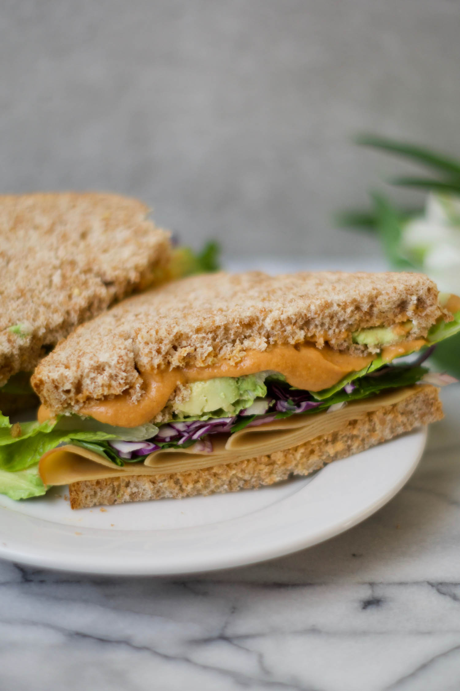 Vegan Chipotle Mayo makes a great sandwich spread!