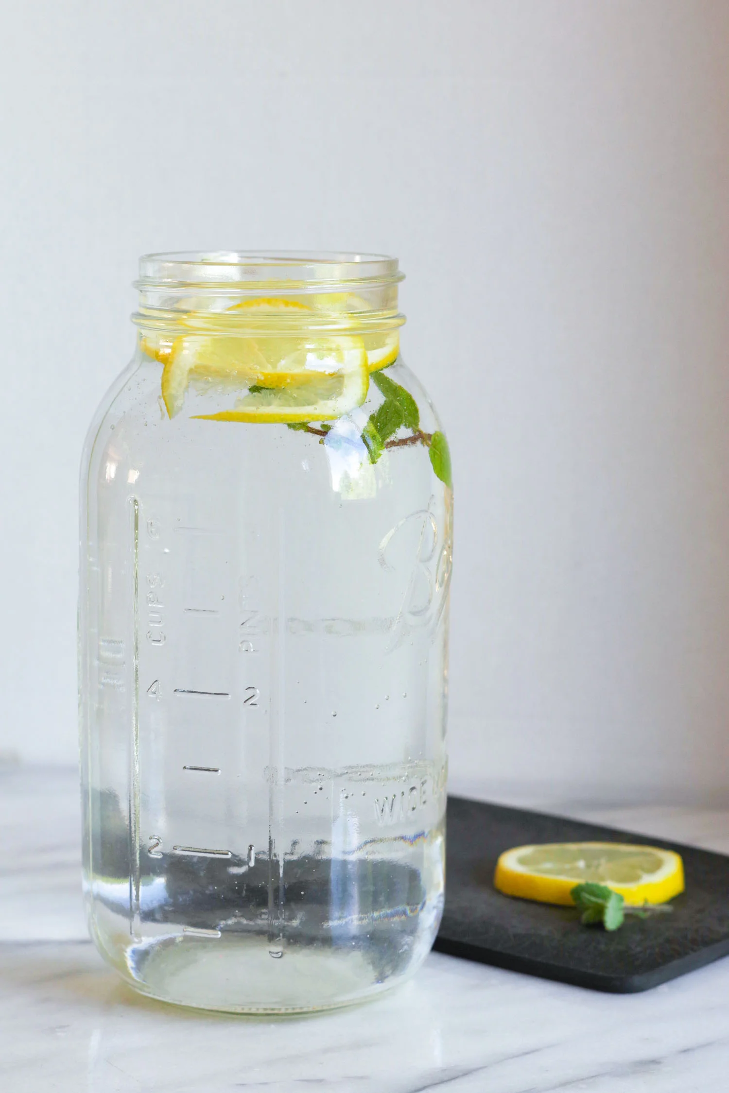 Lemon Mint Water — Beautiful Ingredient Plantbased Recipes