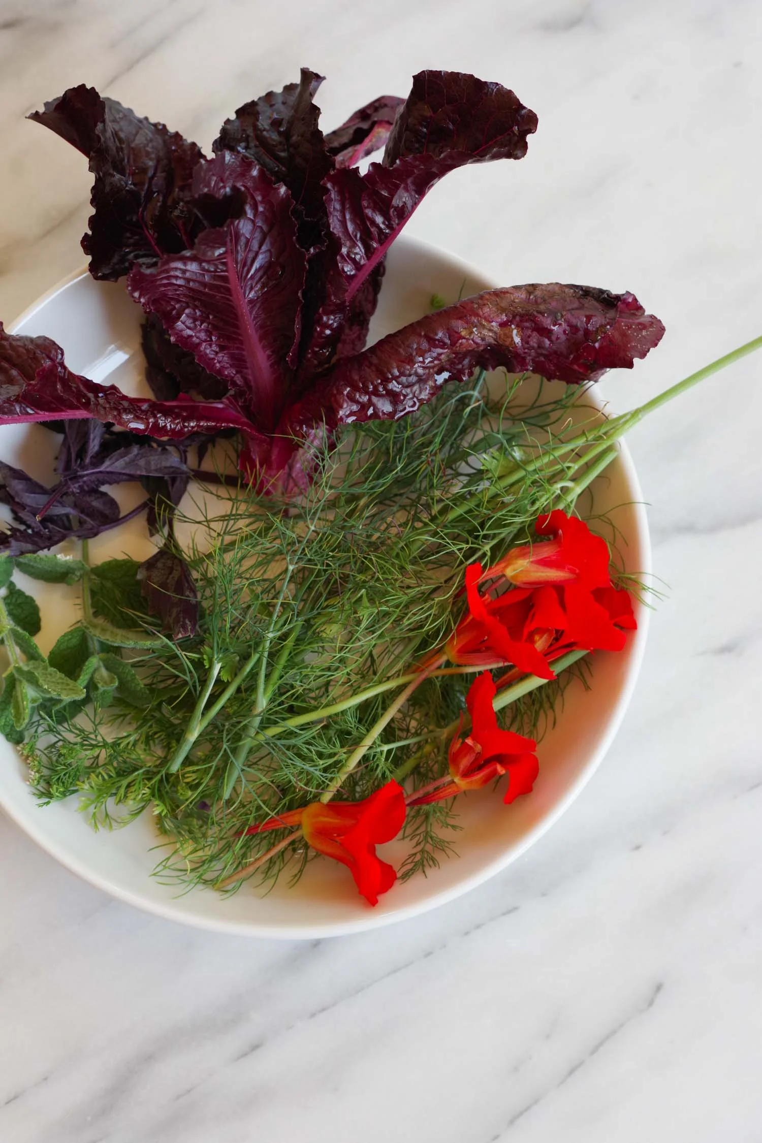 Vegetable Garden finds for the Ultimate Garden Salad, by Beautiful Ingredient