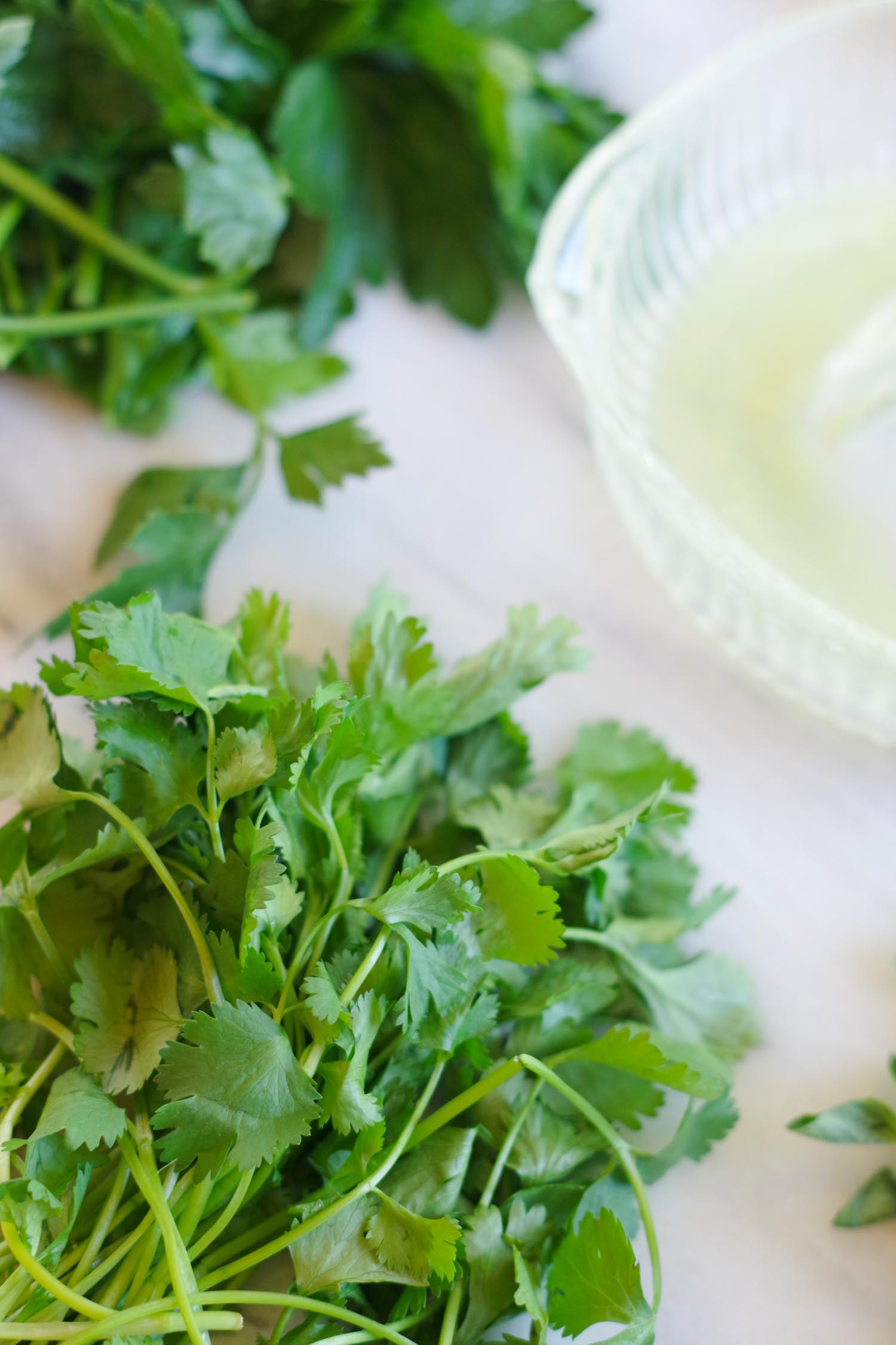 Cilantro, parsley &amp; Lime juice for Chimichurri-ish by Beautiful Ingredient