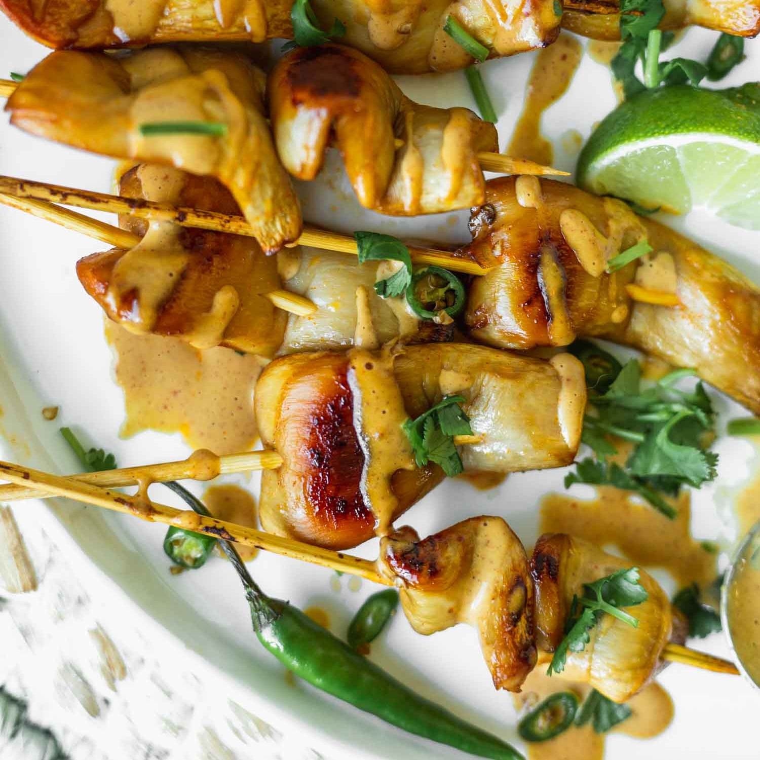 Vegan King Satay with Spicy Peanut-Ginger Sauce Recipe from The Wicked Healthy Cookbook. Photo by Kari of Beautiful Ingredient.