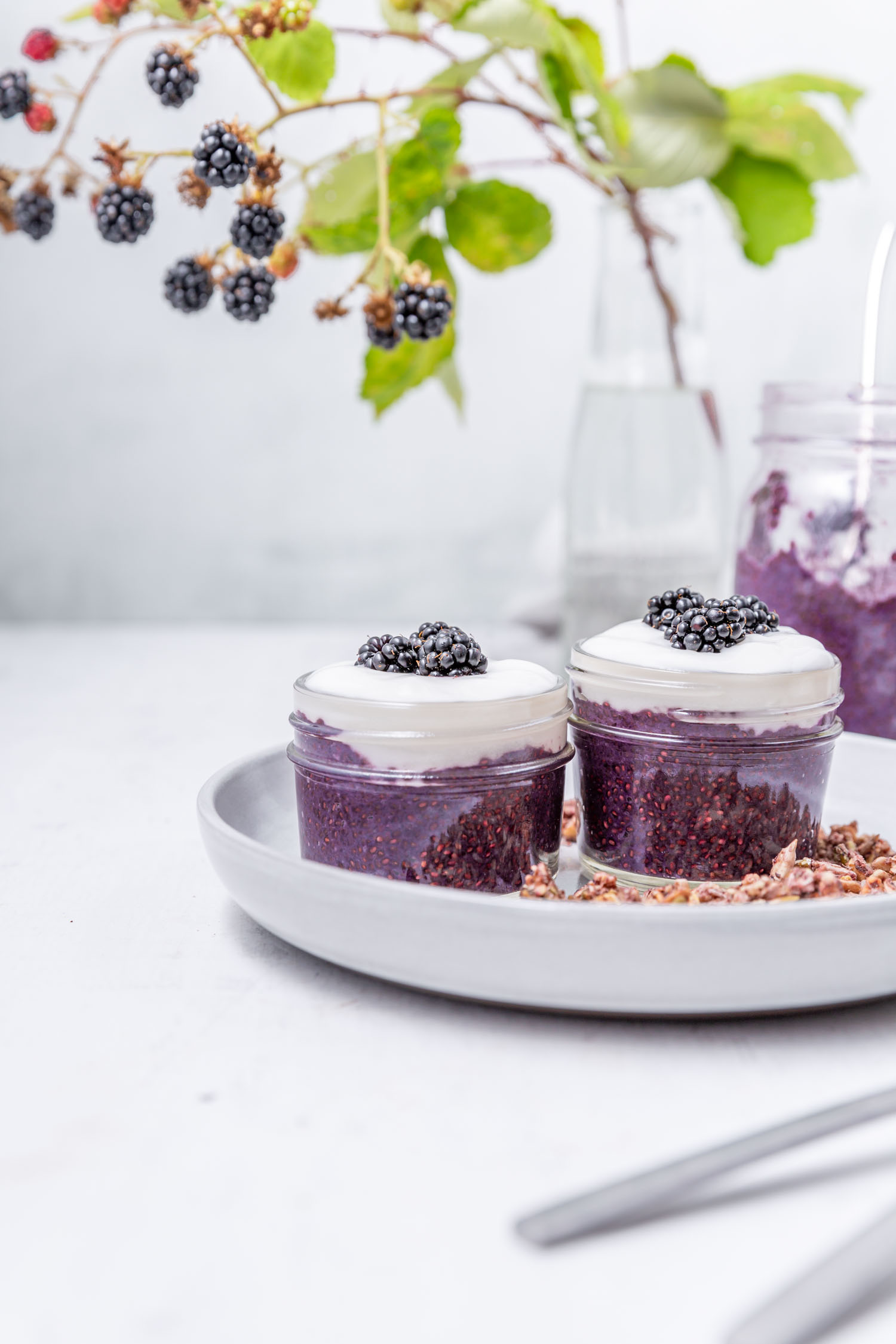 vegan-blackberry-chia-pudding-parfait-breakfast.jpg