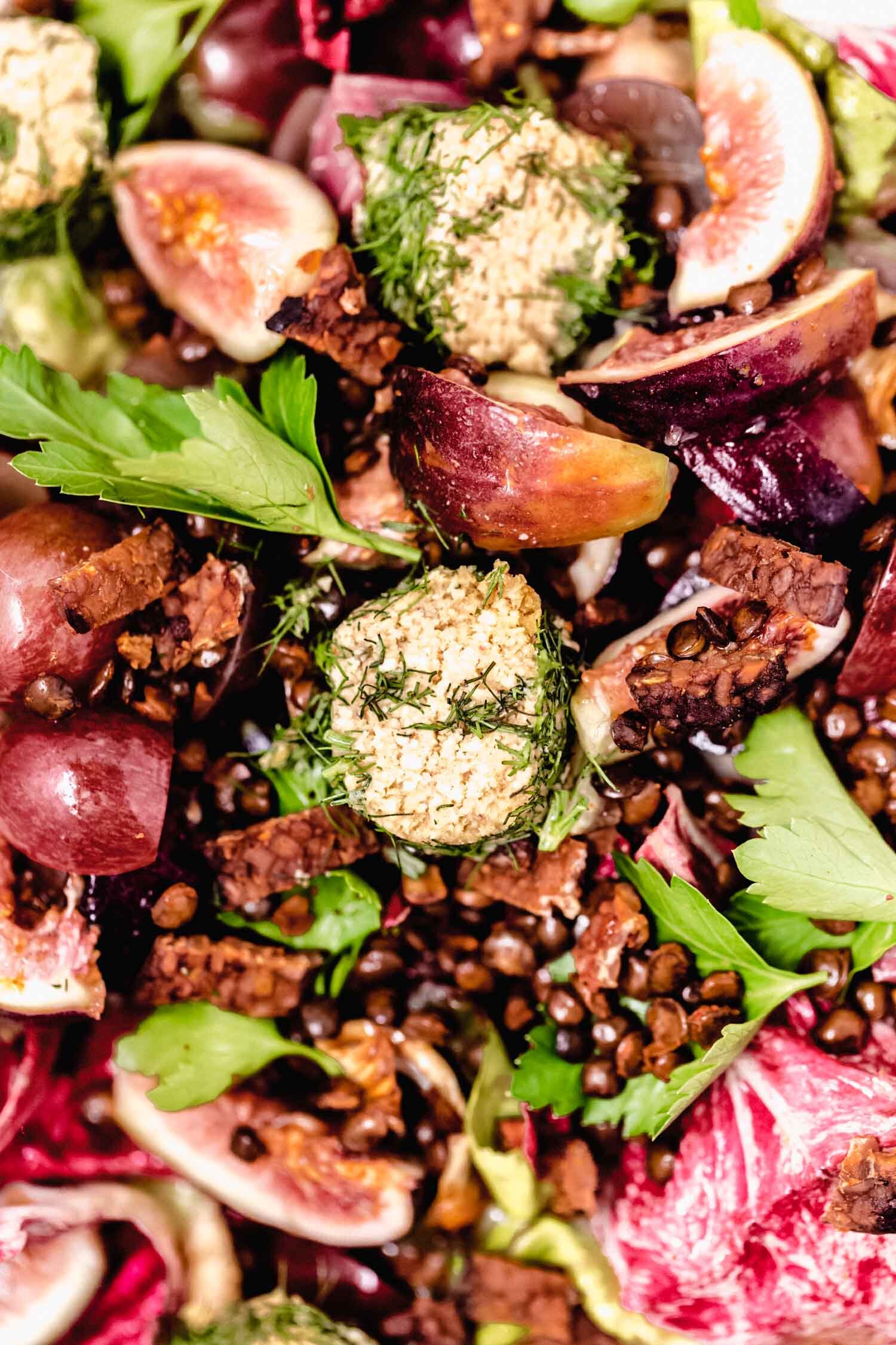 Radicchio Harvest Salad with Pecan Dressing (Vegan, GF) is a full holiday meal in itself, yet makes a crowd-pleasing plant-based addition to a holiday spread. #veganholiday #plantbasedrecipe #thanksgiving #christmas #holidaysalad #radicchio #vegancheese #lentils #wildrice #veganbacon #figrecipe #pecan #vegansalad #harvestsalad #thanksgivingsalad #colorfulsalad #glutenfreeholiday