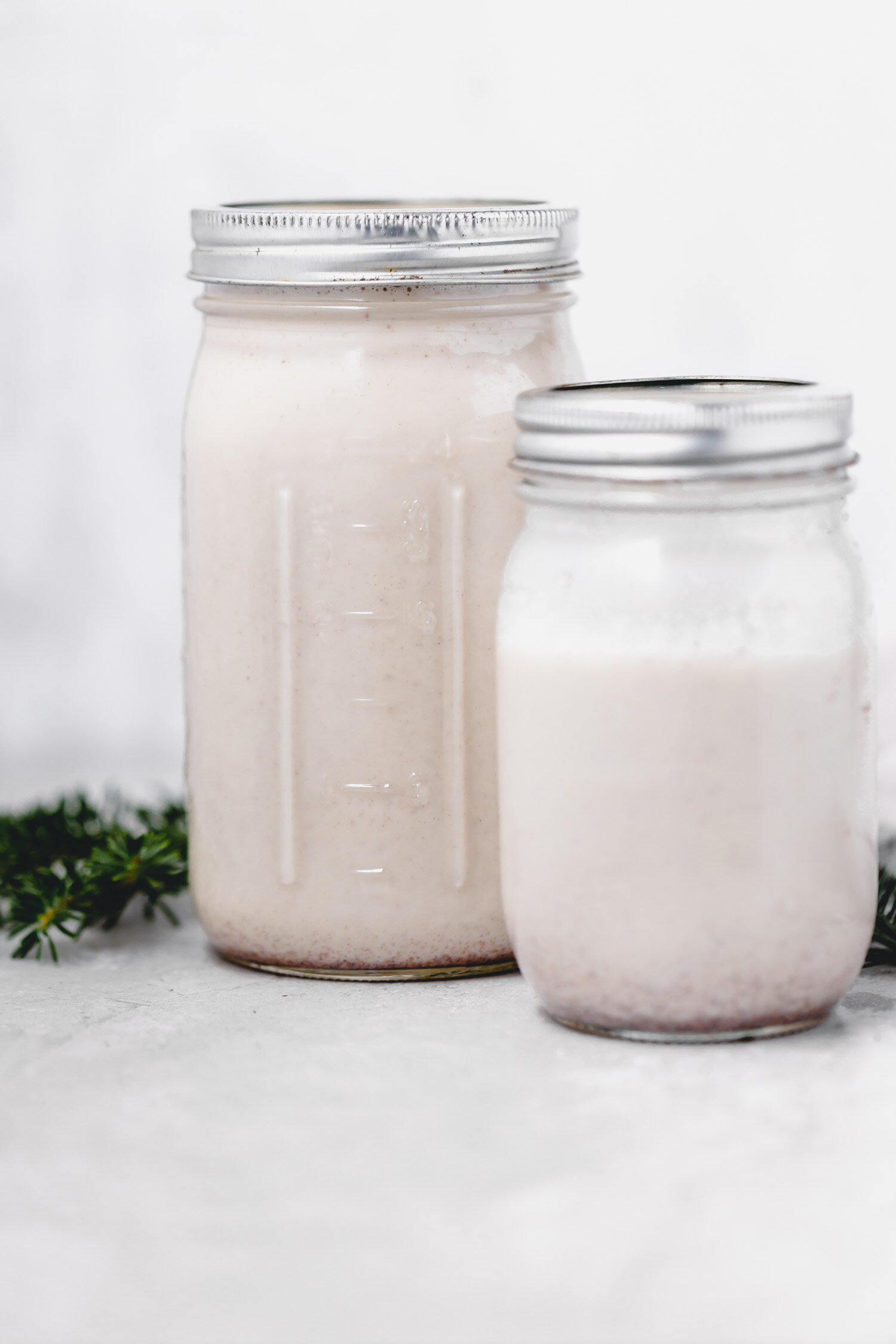 Vegan Eggnog in 10 Minutes - this recipe makes it easy to grab a cup of cheer right away!  Make a big batch in advance and store it in the fridge for later.    #eggnog #vegan #veganholiday #Christmas #veganeggnog #cupofcheer #nutmeg #dairyfree #drink #bourbon #quickandeasy #10minuterecipe #hotdrink #eggfree #holidaytreat #veganchristmas #nog #dairyfreeeggnog #holidayrecipe