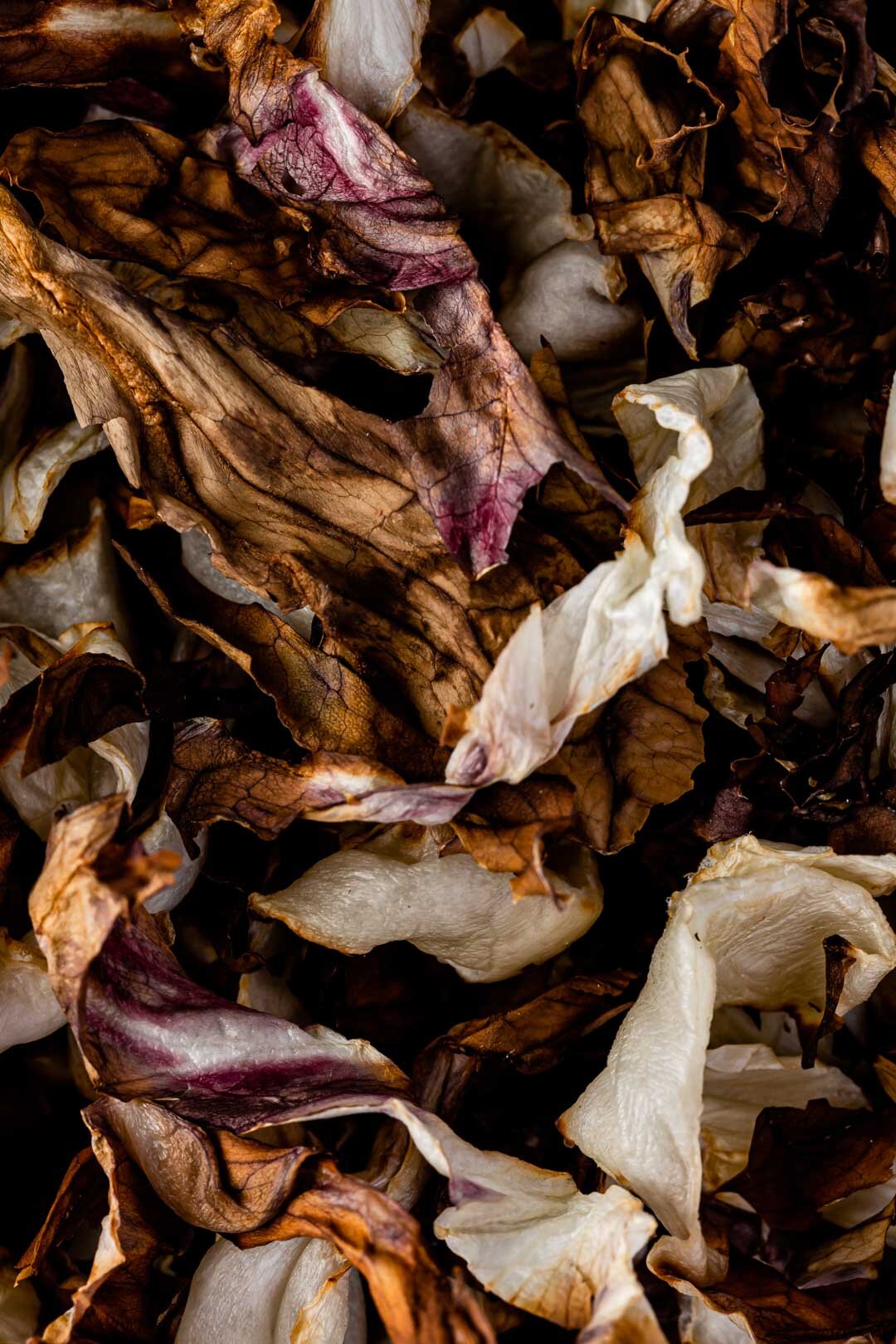 Crispy Roasted Radicchio Strips Recipe, Oil-Free Vegan by Beautiful Ingredient. Ready within 10 minutes in your air fryer! Crispy and bittersweet, these make a great snack or topping. #radicchio #oilfree #oilfreeveganrecipes #radicchiorecipes #roastedveggies #roastedvegetables #airfryer #vegan #plantbased #oneingredientrecipes #winterrecipes #autumnrecipes #fallrecipes